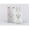Roztomilé dětské LED světýlko králíček Miffy střední